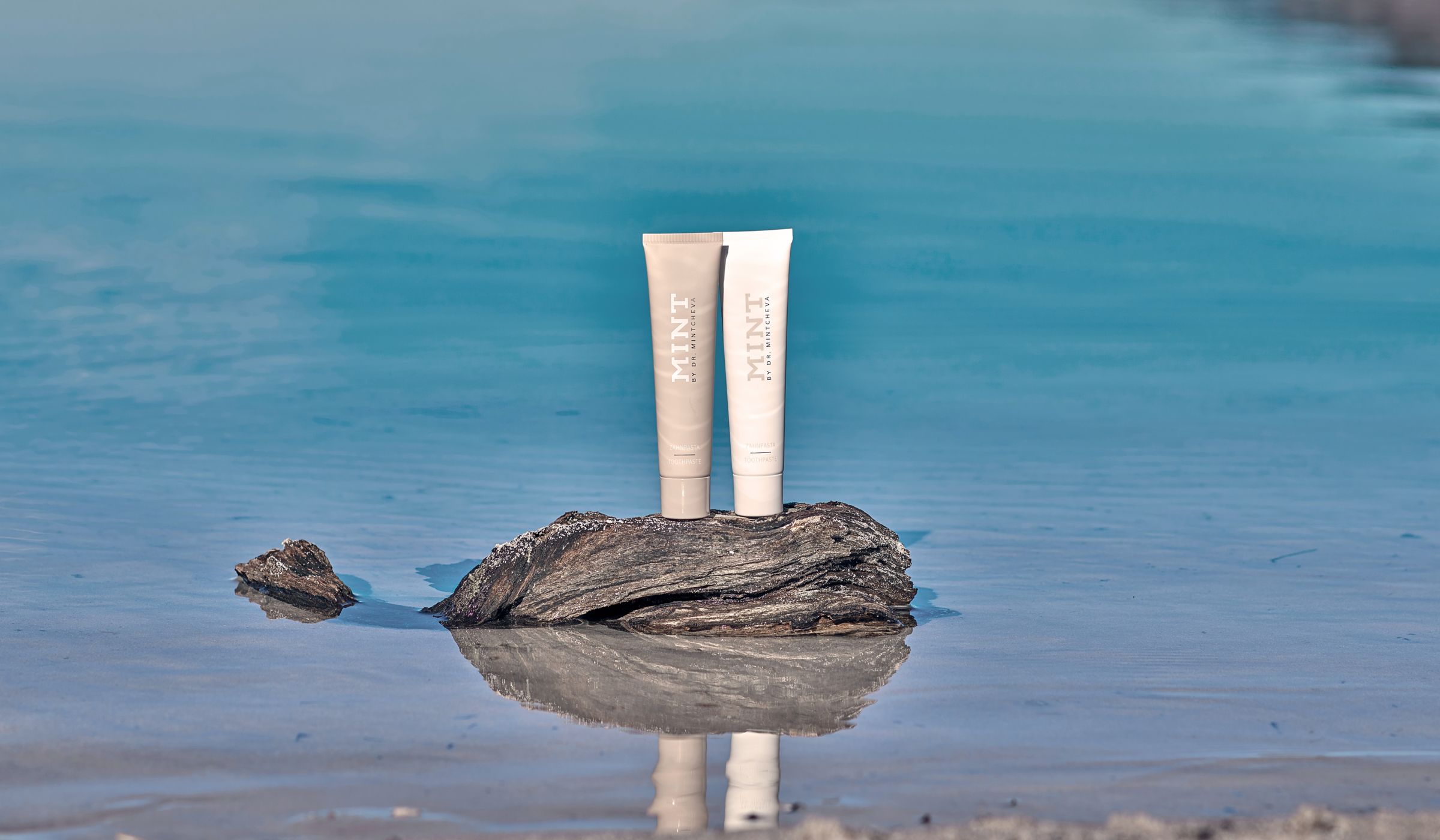 MINT by Dr. Mintcheva